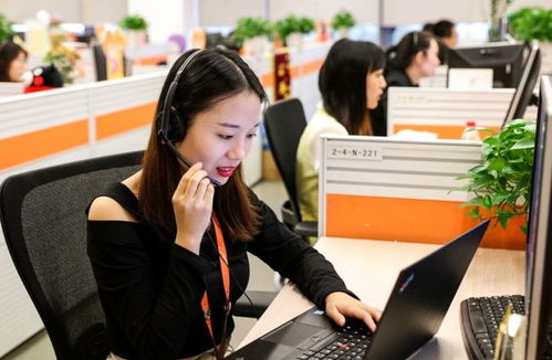6類適合“老實人”的工作 在信息咨詢服務領域，找到人際關系簡單、工資高又能做長久的職業港灣