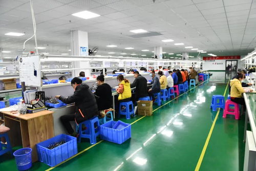 威海 國內超八成無刷電機，南海制造背后的信息咨詢服務支撐