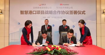 日照企業創奇跡 90天吞吐億噸，信息服務助力利潤突破4億